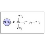 Sepax GP-C8 Columns