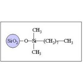 Sepax GP-C8 Columns