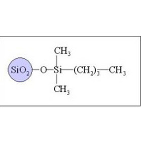 Sepax GP-C4 Columns