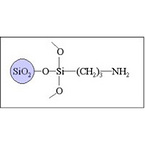 Sepax HP-Amino Columns