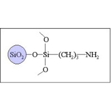 Sepax HP-Amino Columns