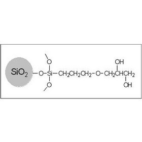 Sepax HP-Diol Columns