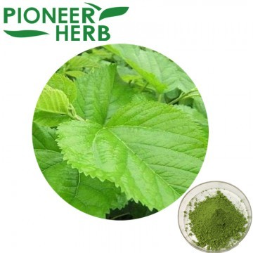 natural green mulberry leaf powder