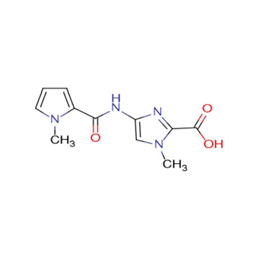 4-(1-methylpyrrole-2-carboxamido)-1-methylimidazole-2-carboxylic acid