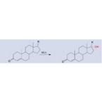 Steroid Hydroxylase(HLE)