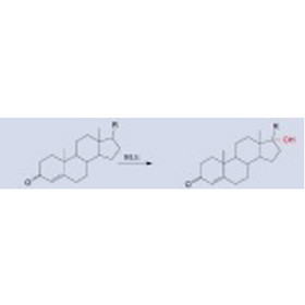 Steroid Hydroxylase(HLE)