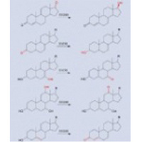 Hydroxysteroid Dhydrogenase(HSDH)