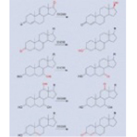 Hydroxysteroid Dhydrogenase(HSDH)