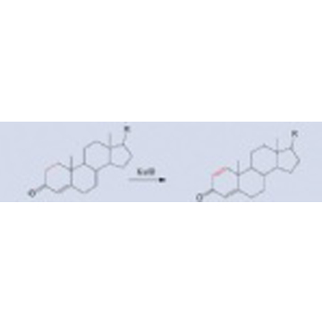 Ketosteroid Dehydrogenase(KstD)