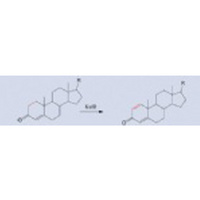 Ketosteroid Dehydrogenase(KstD)