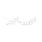 Acyl tramsferase(AT)