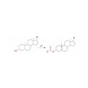 Acyl tramsferase(AT)