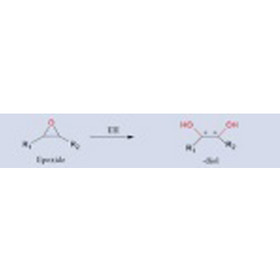 EPoxide Hydrolase(EH)