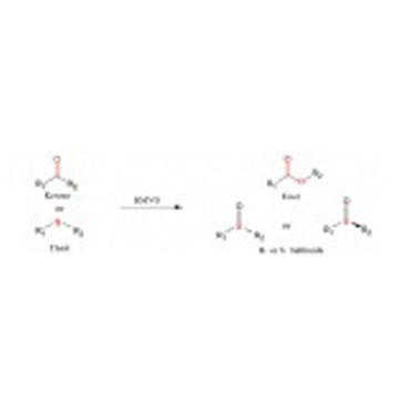 Baeyer-villiger Monooxygencese(BVMO)