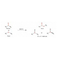 Baeyer-villiger Monooxygencese(BVMO)