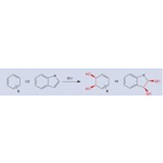 Dioxygenase(DO)