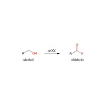 Alcohol oxidase(AOX)