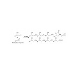 Halohydrin Dehalogenase(HHDH)