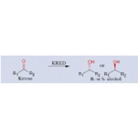 Ketoreductase(KRED)