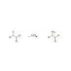 Amino acid Dehydrogenase(AAD)