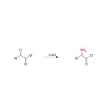 Amino acid Dehydrogenase(AAD)