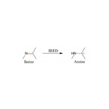 lmine reductase(IRED)