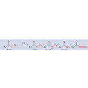 Hydrolase(HLE) Lipase/Protease/Esterase
