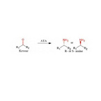 Transaminase(ATA)