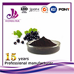 Black Currant extract