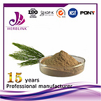 Horsetail Extract