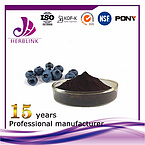 Bilberry extract