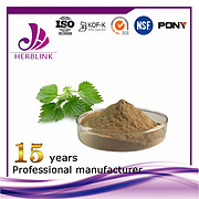 Nettle Extract