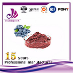 Blueberry extract