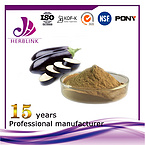 Eggplant extract