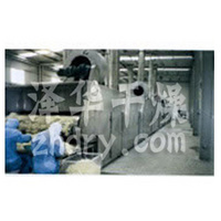 DWC Series Dryer for Vegetable Dehydration