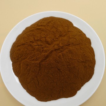 Cola Nitida Extract Powder