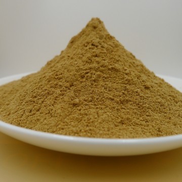 Ginger Root Extract Powder