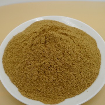 Stevia Extract Powder