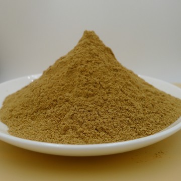 Glycyrrhiza Glabra Extract Powder
