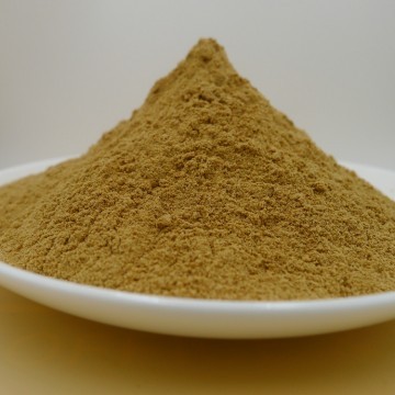Foeniculum Vulgare Extract Powder