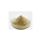 Poria Cocos Extract Powder