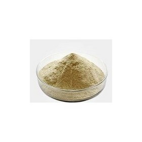 Poria Cocos Extract Powder