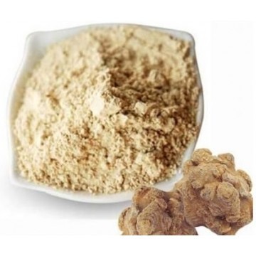 Notoginseng Root Extract Powder