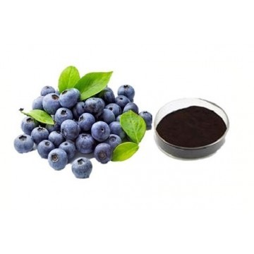 Bilberry Extract Powder