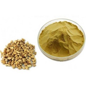 Codonopsis Extract Powder