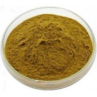 Solanum Xanthocarpum Extract Powder