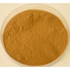 Chrysanthemum Flower Extract Powder