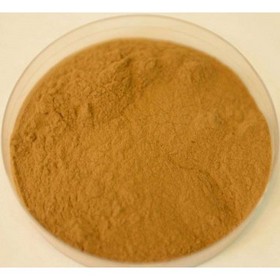 Halal Chrysanthemum Flower Extract Powder 10:1