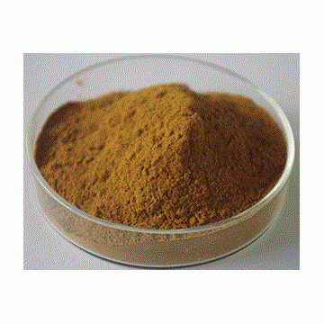 Shiitake Mushroom Extract Powder