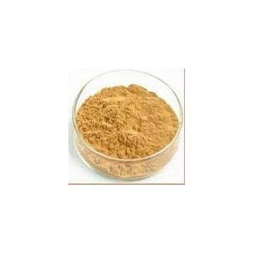 Hawthorn Berry Extract Powder